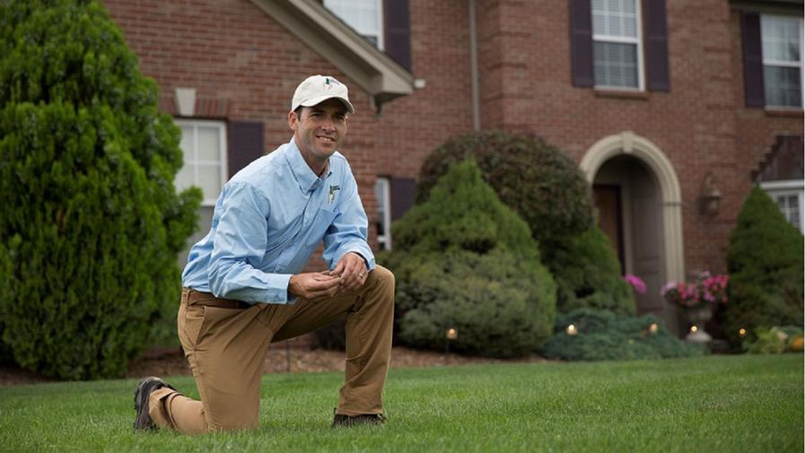 Cover photo of Lawn Doctor of Tupelo-Corinth-Jackson-Florence-Muscle Shoals